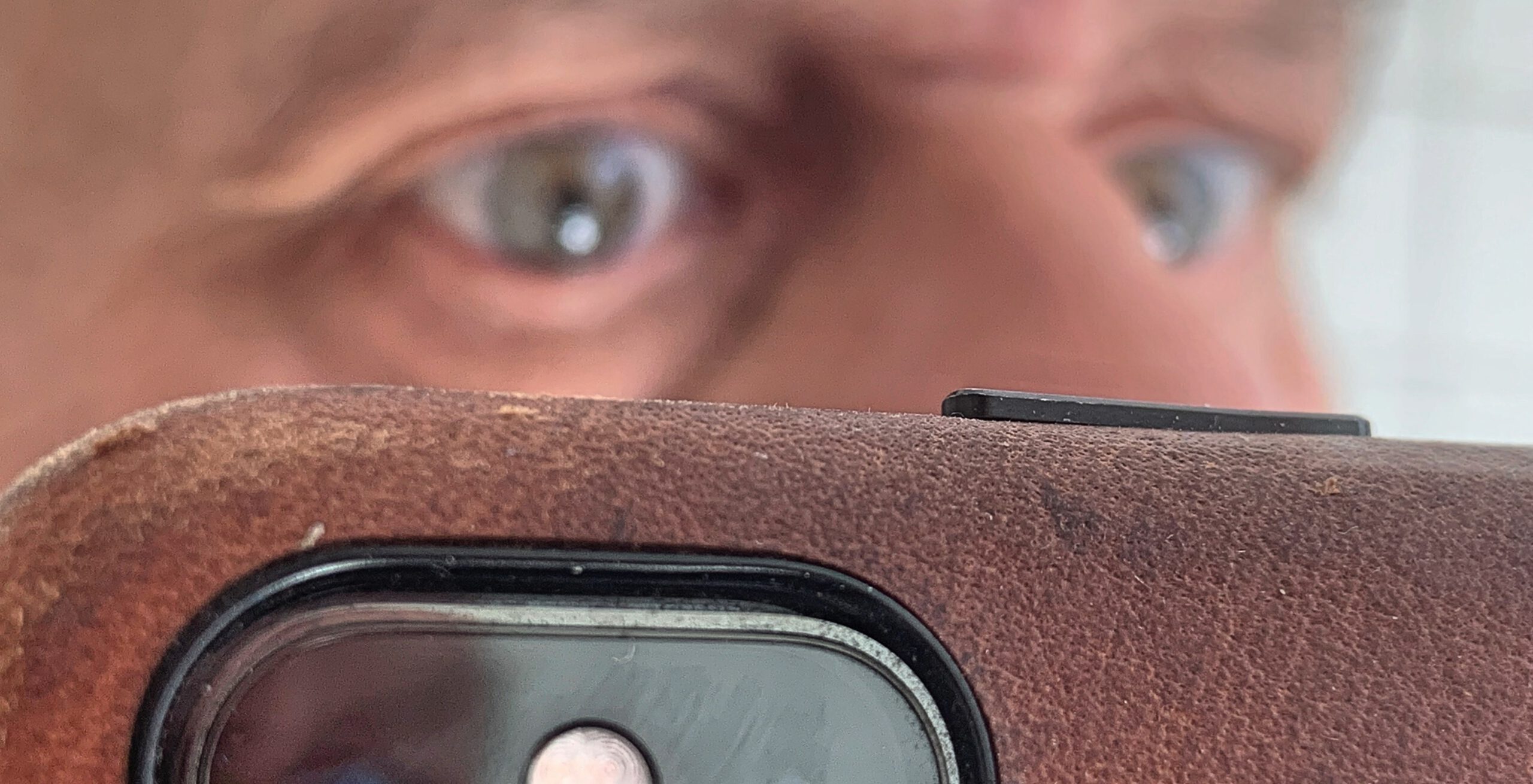 einblick